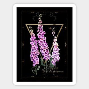 Foxglove magical herb Magnet